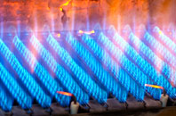 Blaguegate gas fired boilers